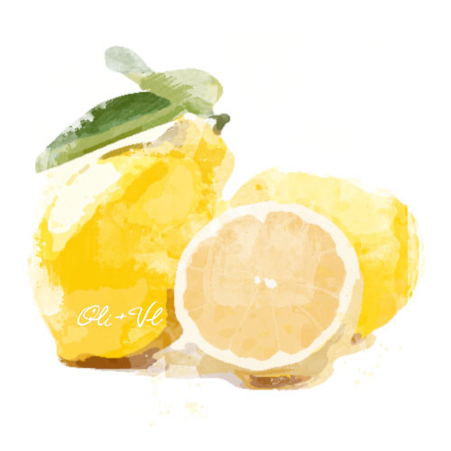 Sicilian Lemon – Manassas Olive Oil Company